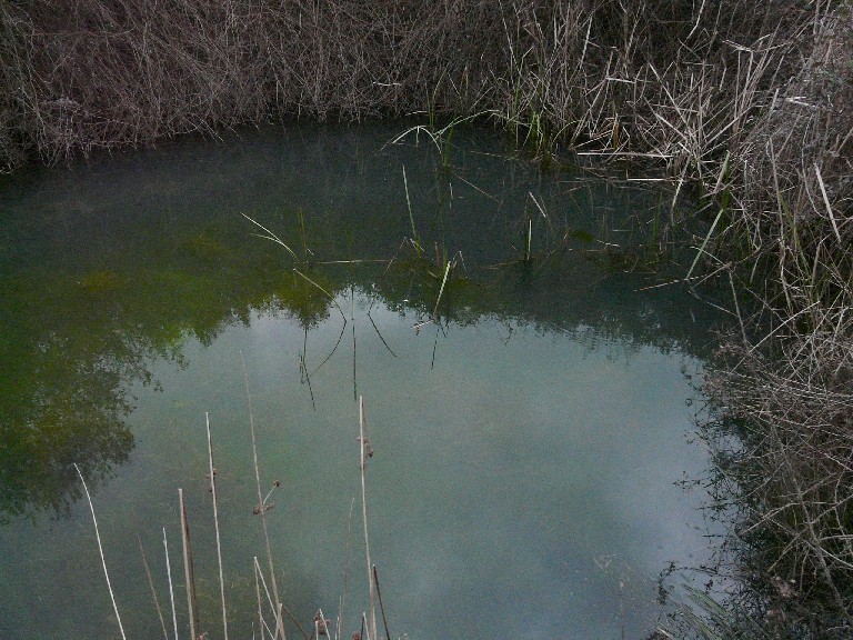 In un podere vicino Massa Marittima (GR)